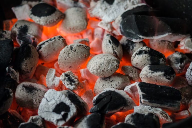 Best Charcoal Briquettes East Coast Grill